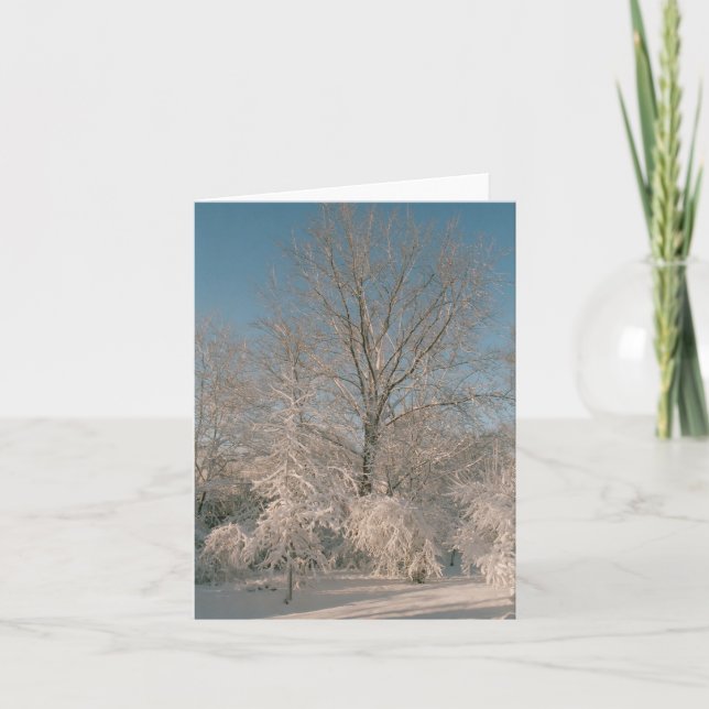 Bäume beladen mit Schnee Notecards Karte (Vorderseite)