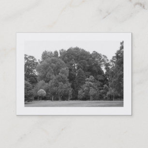 Bäume, Bute Park, Cardiff Visitenkarte