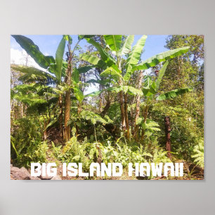 BÄUME DER GROSSEN INSEL HAWAII BANANA POSTER
