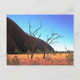 Bäume des Ayers Rock Postkarte