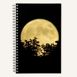 Bäume, die von Vollmond beleuchtet werden Notizbuch
