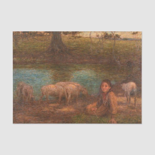 Bäume, ein schattiger Boon für einfaches Schaf dur Seidenpapier (Vorderseite)