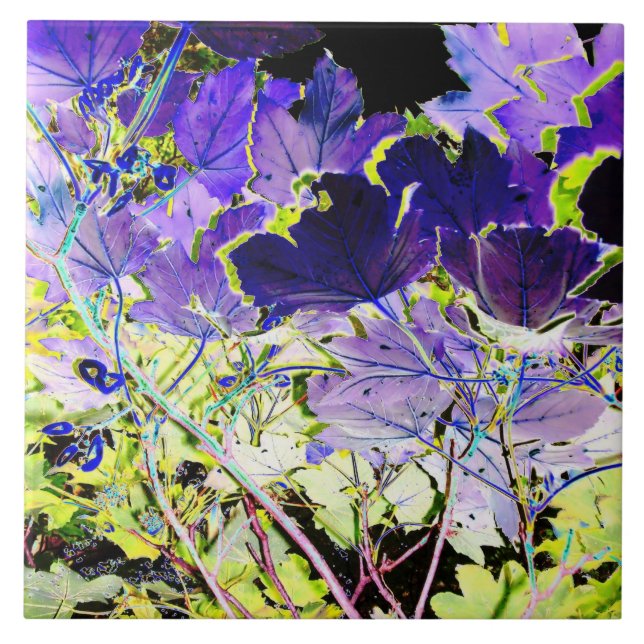 BÄUME FLIESE (Vorderseite)