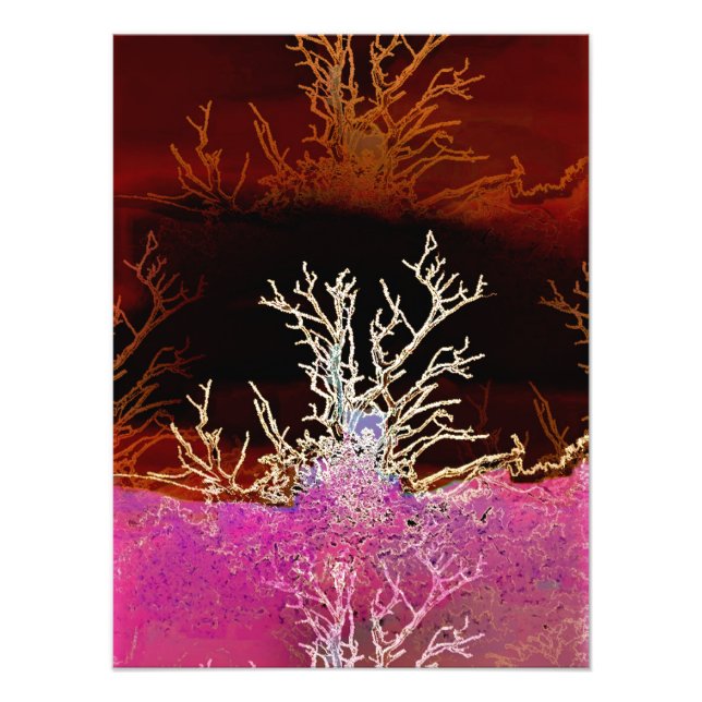 BÄUME FOTODRUCK (Vorne)