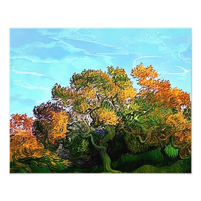 BÄUME FOTODRUCK (Vorne)