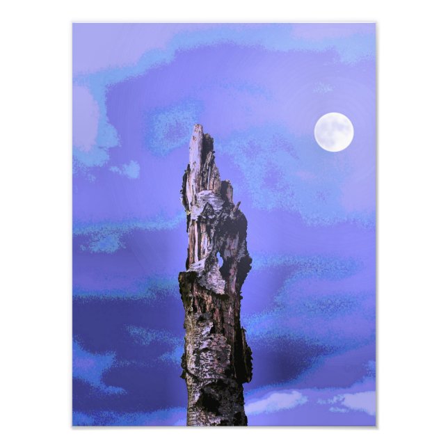 BÄUME FOTODRUCK (Vorne)