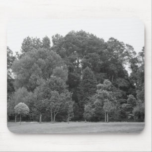 Bäume im Bute Park, Cardiff - BW Mousepad