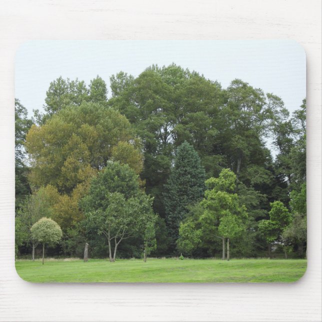Bäume im Bute Park, Cardiff Mousepad (Vorne)