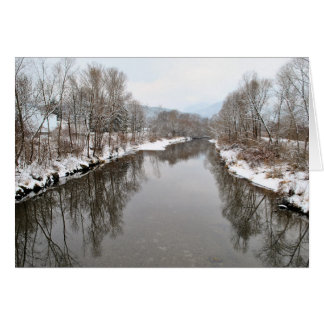 Bäume im Fluss