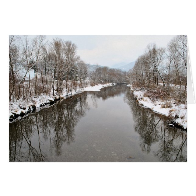 Bäume im Fluss (Vorderseite (Horizontal))