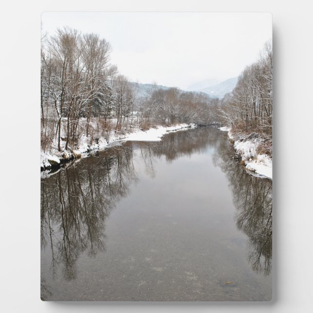 Bäume im Fluss Fotoplatte (Vorderseite)