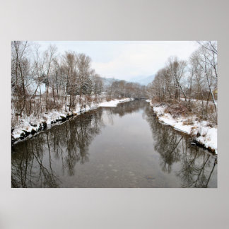 Bäume im Fluss Poster