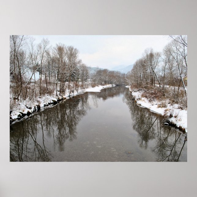 Bäume im Fluss Poster (Vorne)