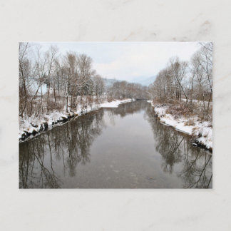 Bäume im Fluss Postkarte