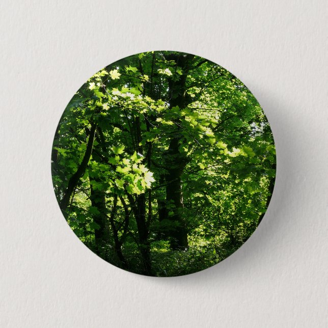 Bäume im Frühling. Bute Park, Cardiff. Wales Button (Vorderseite)