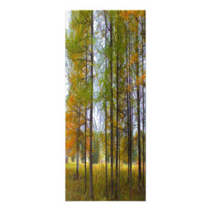 Bäume im Herbst Fotodruck