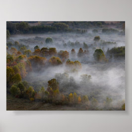 Bäume im Morgennebel Poster