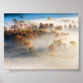 Bäume im Morgennebel Poster