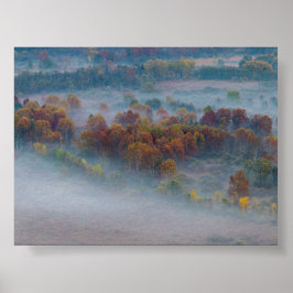 Bäume im Morgennebel Poster
