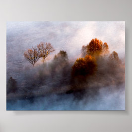 Bäume im Morgennebel Poster