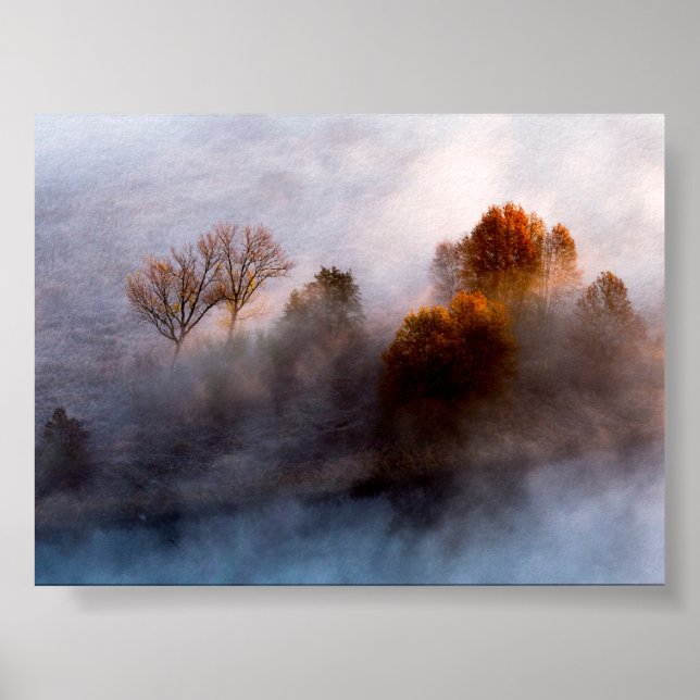 Bäume im Morgennebel Poster (Vorne)