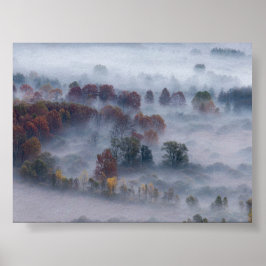 Bäume im Morgennebel Poster