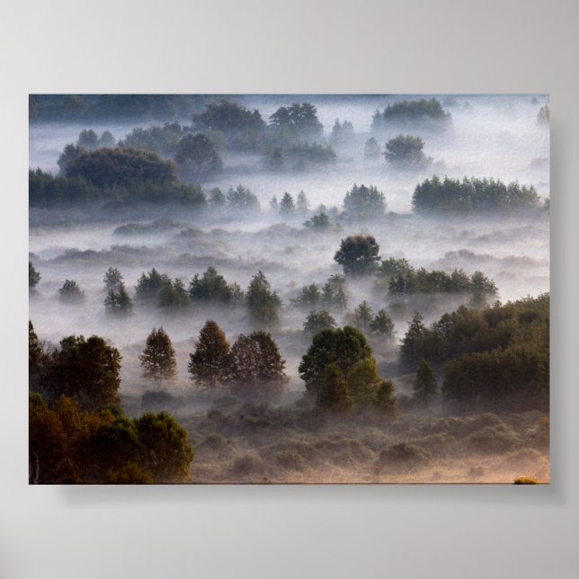 Bäume im Morgennebel Poster (Vorne)