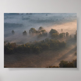 Bäume im Morgennebel Poster
