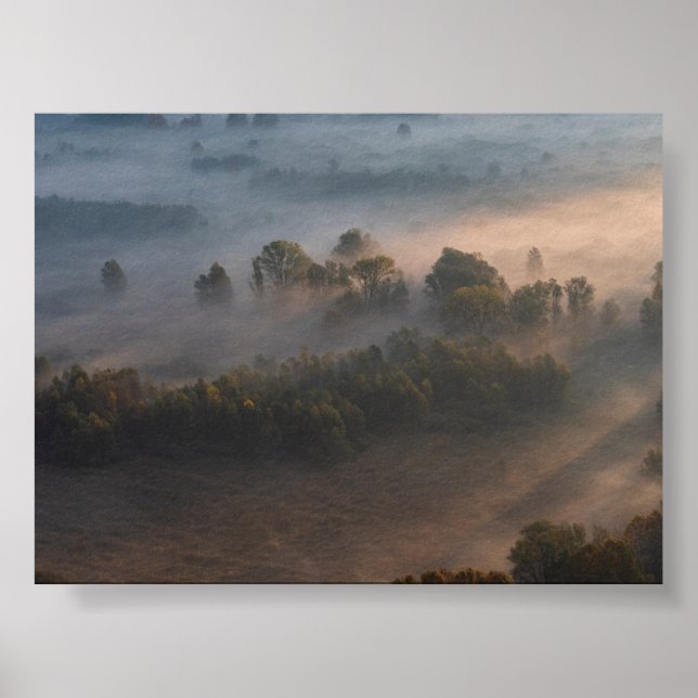 Bäume im Morgennebel Poster (Vorne)