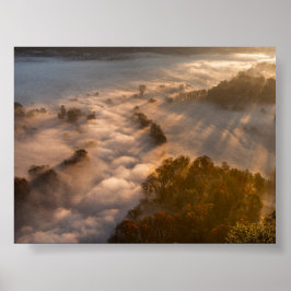 Bäume im Morgennebel Poster
