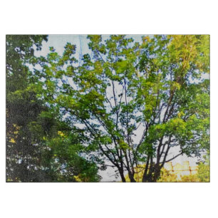 Bäume im Ottawa Park. Jetzt kaufen Schneidebrett