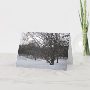 Bäume im Schnee II Feiertagskarte