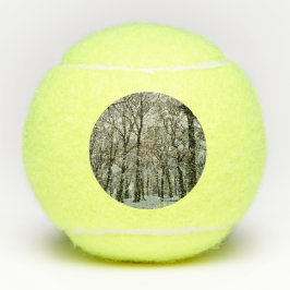 Bäume, im Schnee Tennisbälle