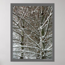 Bäume im Schnee-Winter-Foto