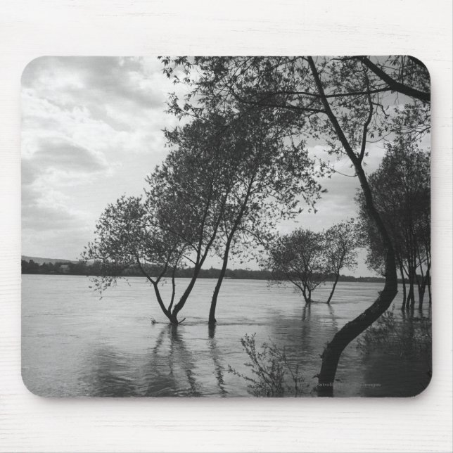 Bäume im See Mousepad (Vorne)