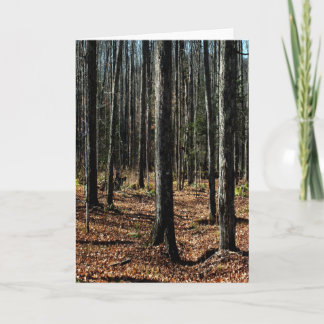 Bäume im Spätherbst: Digitaler Wandel des Waldes Karte