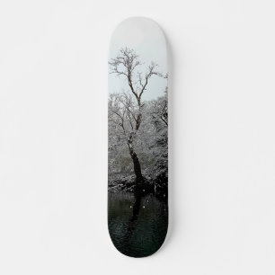 Bäume im Wasser Skateboard