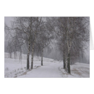 Bäume im Winter