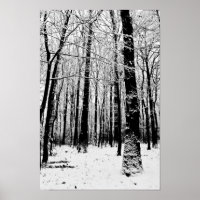 Bäume im Winterposter