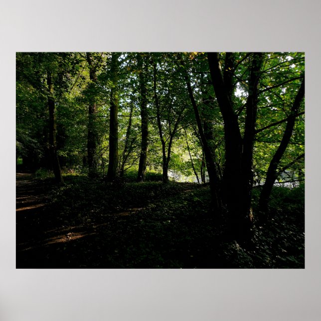 Bäume in der Nähe des Flusses Poster (Vorne)