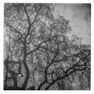 Bäume in Foto aus schwarz-weißem Keramik Fliese