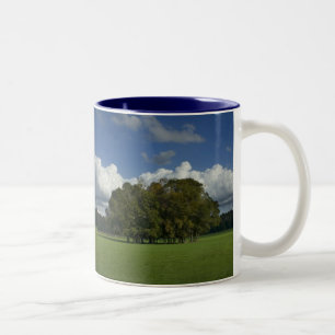 Bäume in Grasfeld-Tasse Zweifarbige Tasse