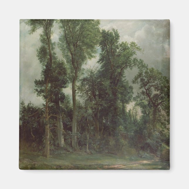 Bäume in Hampstead Magnet (Vorne)