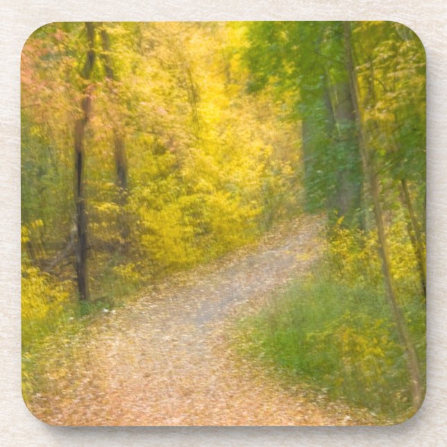 Bäume in Herbstfarben und ebenerdiger Allee Untersetzer (Vorderseite)