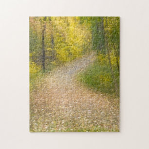 Bäume in Herbstfarben und ein von Blättern bedeckt Puzzle