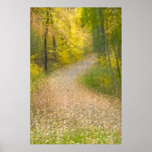 Bäume in Herbstfarben und mit Leaf bedeckter Allee Poster