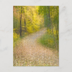 Bäume in Herbstfarben und mit Leaf bedeckter Allee Postkarte