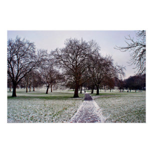 Bäume in Primrose Hill Camden London Poster