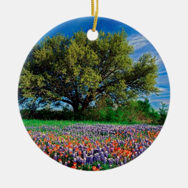 Bäume leben Eiche unter Texas Bluebonnets Keramikornament (Vorne)