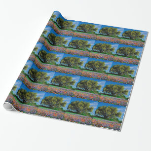 Bäume Live Oak unter TexasBluebonnets Geschenkpapier